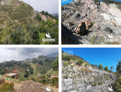 Diseños de Restauración Ecológica para 5 Ecoparques de Cali, Colombia.